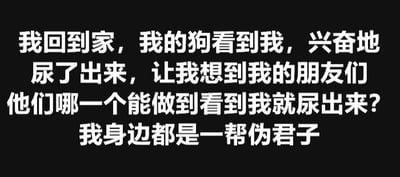 黑色背景上的白色文字，内容是：'我回到家，我的狗看到我，兴奋地尿了出来，让我想到我的朋友们 他们哪一个能做到看到我就尿出来? 我身边都是一帮伪君子'。通过狗狗见到主人时极度兴奋到失禁的真实反应，与朋友们见面时的常规表现形成夸张对比，幽默调侃朋友们对自己不够'真诚热情'，用自嘲的方式制造搞笑效果。
