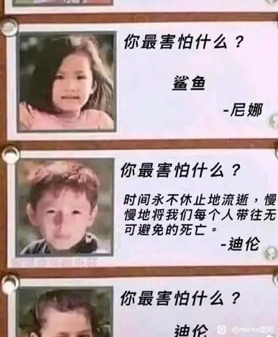 这是一张由三部分构成的连环图文混排图，每一部分的左侧都是孩子的照片，右侧配有统一的问题“你最害怕什么？”以及孩子的回答。第一部分的尼娜是个小女孩，她的回答是“鲨鱼”，这是符合孩童认知的、充满童真的害怕事物；第二部分的小男孩迪伦，却给出了远超年龄的深沉回答：“时间永不休止地流逝，慢慢地将我们每个人带往无可避免的死亡”，这种孩童的外表与成年人般对生命的悲观思考形成了强烈的反差；第三部分只显示了问题和开头的“迪伦”，结合前两部分的内容，推测这个孩子的回答是害怕迪伦这样的成熟想法，或是被迪伦的回答吓到，进一步放大了这种荒诞的幽默效果，用孩子的视角制造出意料之外的笑点。