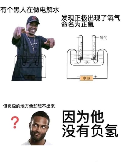 这张梗图分为上下两部分，上半部分显示一位戴着帽子的黑人男子手指着一个简易电解水装置，旁边配有文字说明他发现正极产生氧气并命名为"正氧"。下半部分显示另一位黑人男子带着疑惑表情，旁边文字解释他想不出负极产生什么气体，因为他"没有负氢"。

该梗图使用了谐音双关手法，利用"负氢"(负极产生的氢气)与中文中对黑人的歧视性称呼发音相似制造笑点，存在明显的种族歧视和冒犯性内容。