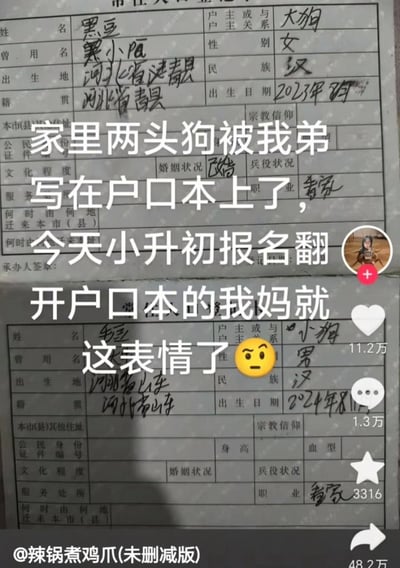 图片展示了一张被手写修改过的户口本内页，上面有两个特殊的“家庭成员”登记信息：分别是名为“黑豆”和“毛豆”的狗。其中“黑豆”的曾用名为“黑小陌”，与户主关系标注为“大狗”，性别女，出生地河北省清县，出生日期2023年2月，职业“看家”；“毛豆”与户主关系为“小狗”，性别男，出生地河北省峰峰，出生日期2024年8月，职业同样为“看家”。图片上方叠加了一段文字说明：“家里两头狗被我弟写在户口本上了，今天小升初报名翻开户口本的我妈就这表情了”，并配有一个无奈的表情符号😥。截图边缘还显示了社交媒体平台的互动数据，包括11.2万点赞、1.3万评论和3316次分享。