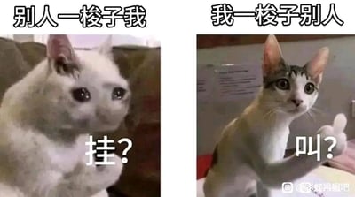 这是一张左右分栏的对比梗图，用于调侃射击游戏中的枪法反差。左侧画面是一只泪眼汪汪、满脸委屈的白色猫咪，上方配文“别人一梭子我”，下方配文“挂？”，模拟自己在游戏中被敌人一梭子弹击中就直接淘汰的惨状；右侧画面是一只瞪大眼睛、一脸疑惑的猫咪，竖起一只爪子，上方配文“我一梭子别人”，下方配文“叫？”，模拟自己用一梭子弹攻击敌人时，对方仅像被打疼一样却未被淘汰的无奈场景。整张图通过猫咪神态的强烈反差和直白的文字，生动表现出玩家自己枪法拙劣、难以击杀敌人，却极易被敌人击杀的尴尬游戏体验。