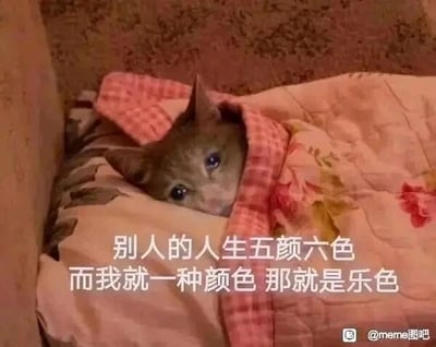 这是一张文字加注的静态单图，画面主体是一只只露出脑袋的猫咪，它裹在带有花卉图案和粉色格子包边的被子里，眼神委屈低落，看起来十分蔫蔫的。图中配有白色文字：“别人的人生五颜六色，而我就一种颜色 那就是乐色”，这里运用了谐音梗，“乐色”谐音“垃圾”，以自嘲的方式表达自己觉得人生不如意、比不上他人的低落情绪，是贴合当代年轻人丧文化的表情包，适合在网络社交中抒发自我否定、沮丧的心情。