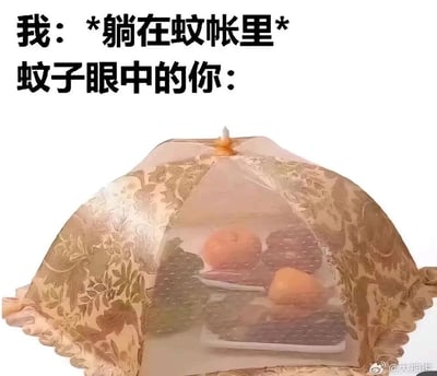 这是一张搞笑创意梗图，图片上方配有两行文字：第一行是“我：*躺在蚊帐里*”，第二行是“蚊子眼中的你：”；下方的主体图片是一个带有植物花纹和蕾丝边缘的餐桌菜罩，罩子内部摆放着几盘水果。该图通过类比的方式，将蚊帐里的人比作菜罩中的食物，生动地调侃了在蚊子的视角里，蚊帐里的人类就像被罩起来等待被享用的餐食，用这种幽默的反差感来表现夏天被蚊子骚扰的无奈与好笑，能引发有过类似经历的用户强烈共鸣。
