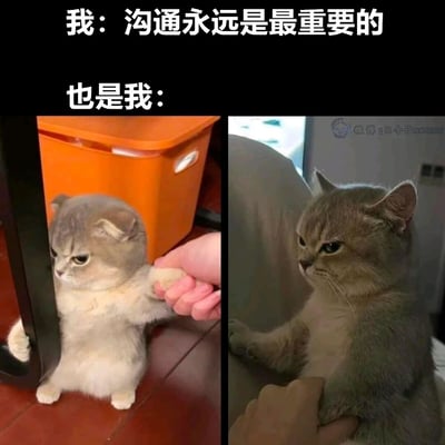 这是一张左右拼接的猫咪反差梗图，上方配有两行文字：第一行“我：沟通永远是最重要的”代表人们所认同的理性理念，第二行“也是我：”对应下方两张猫咪的实拍图。左侧的猫咪眉头紧皱，满脸不情愿地躲在角落，爪子被人手拉住，身体明显在抗拒；右侧的猫咪表情冷漠，别过脸，摆出拒绝接触的姿态。这组图生动地还原了很多人在生活中的真实状态：嘴上认可沟通的重要性，但当真正需要面对沟通场景时，却会本能地产生抗拒、逃避的心理，用猫咪可爱又真实的抗拒姿态，精准戳中大众的日常心理反差，引发共鸣。