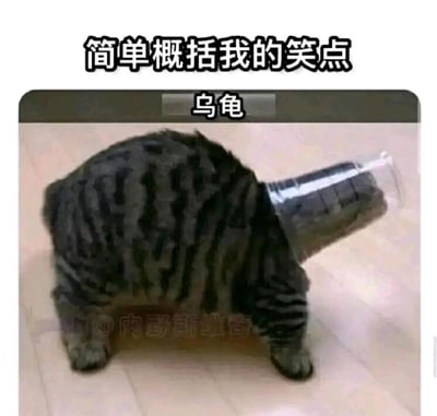这是一张趣味静态图，图片上方配有文字“简单概括我的笑点”，下方标注文字“乌龟”，图中主体是一只狸花猫，它的头部被套上了一个透明塑料瓶，塑料瓶的形状和猫咪的身体结合，从视觉上看酷似乌龟的外形，形成了猫咪“伪装”成乌龟的搞笑视觉效果，用这种简单的视觉错位制造出荒诞又有趣的笑点，调侃自身的笑点很低且奇特，只需要这种简单的趣味改造就能被逗笑。