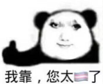 这是一张经过P图改编的熊猫头表情包，将真人面部与熊猫身体合成，人物面带戏谑的微笑并竖起大拇指，下方配文“我靠，您太🏳️‍⚧️了”，用跨性别旗帜符号替代夸赞类词汇，以玩梗的方式夸张地表达对他人的佩服与认可，语气接地气且充满趣味性，适合在社交场景中用来对他人表示高度赞赏。