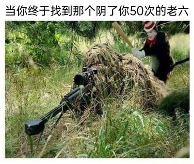 这是一张结合了游戏文化与卡通IP的搞笑合成梗图。画面中，一名身着吉利服、架设重型狙击枪的“老六”（战术射击游戏中躲在暗处偷袭玩家的群体）趴在草丛中，保持隐蔽蹲守的姿态；后方突然出现出自《戴帽子的猫》的经典卡通角色，手持棒球棍，摆出攻击的架势。图片上方配文“当你终于找到那个阴了你50次的老六”，精准戳中了射击游戏玩家被暗处敌人多次击杀后的憋屈与终于找到对方时的复仇快感，用卡通角色攻击的反差画面，放大了这种解气又搞笑的情绪，在游戏玩家社群中用来调侃被“老六”针对的经历。