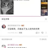 这是一张竖屏的社交媒体评论区截图，顶部展示了一个表情低落严肃的猫咪用户头像，下方是两条用户评论。第一条来自用户「满天星都失眠STBY」的评论写道：「它没有死，只是去了主人创作的世界」，这条评论获得了3个点赞和2条回复，第二条评论仅显示开头未完整展示。这条评论用浪漫温柔的表述，为某个虚拟角色或宠物的“离开”赋予了治愈感的解读，消解了直白告别带来的悲伤情绪。