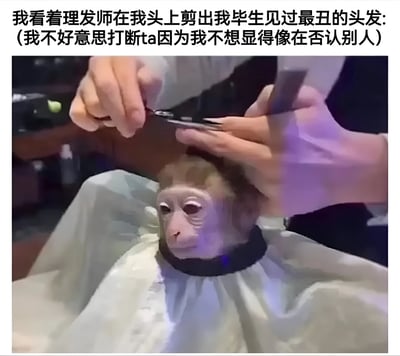 图片上方配有文字描述：'我看着理发师在我头上剪出我毕生见过最丑的头发: (我不好意思打断ta因为我不想显得像在否认同别人)'，下方是一张照片，内容为一只猴子（面部有类似人类的表情）坐在理发椅上，身上围着白色围布，一名理发师正用剪刀为其理发。图片通过将猴子拟人化，幽默地展现了人们在面对不满意服务时因社交焦虑而不好意思打断对方的尴尬心理，引发共鸣。