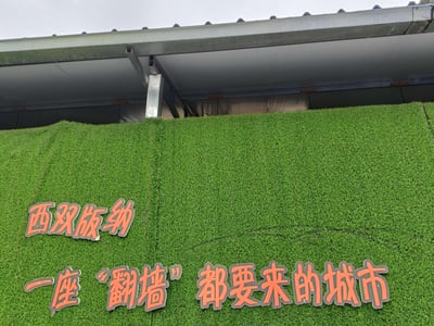这是一张原始拍摄的横版标语图，画面主体是一块设置在仿真绿植墙面上的趣味旅游宣传标语，上方是金属材质的顶棚结构。标语内容为“西双版纳 一座‘翻墙’都要来的城市”，其中“翻墙”运用了谐音梗，既呼应了西双版纳作为边境城市的地理属性，又用夸张戏谑的语气凸显出西双版纳的旅游吸引力，传递出这座城市值得游客专程前来游玩的热情感。