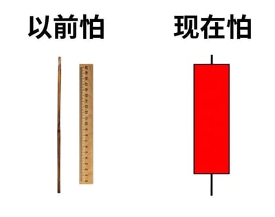 这张梗图通过左右对比展示了人们恐惧对象的变化。左边'以前怕'配有竹棍和尺子的图片，代表童年时对体罚的恐惧；右边'现在怕'配有红色长方形物体的图片，代表成年后对罚单或罚款的恐惧。