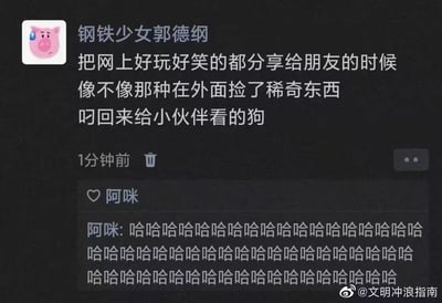 这是一条朋友圈截图，用户「钢铁少女郭德纲」用生动的比喻，将自己在网上看到好玩好笑的内容就分享给朋友的行为，比作在外面捡了稀奇东西叼回来给小伙伴看的狗，精准又搞笑地形容了这种乐于分享的日常状态；好友「阿咪」用一大串连续的「哈哈哈哈」回复，强烈表现出对这个比喻的认同和爆笑反应。内容没有双关或谐音梗，是生活化的趣味调侃。