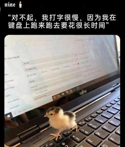 这是一张搞笑的图文混排梗图，采用顶文配图的形式，顶部配文为“对不起，我打字很慢，因为我在键盘上跑来跑去要花很长时间”，下方的实拍图里，一只黄黑相间的小雏鸡正站在富士通品牌的笔记本电脑键盘上，背景的笔记本屏幕还能看到打开的网页界面，文案把小鸡在键盘上活动的场景和打字慢的原因做了拟人化结合，风格轻松可爱，充满幽默感。