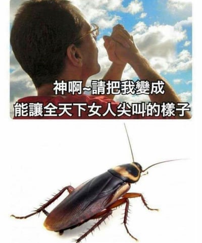 图片分为上下两部分。上半部分是一个男人背对镜头，双手合十举过头顶，仰头望着蓝天白云，表情虔诚。图片上叠加文字："神啊~请把我变成能让全天下女人尖叫的样子"。下半部分是一只清晰的蟑螂特写，身体呈黑褐色，有明显的翅膀和触角。通过将男人的祈祷与蟑螂形象并置，形成幽默反差，利用了"小强"（蟑螂的戏称）这一文化符号制造笑点。