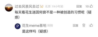这是一张社交媒体的评论互动截图，来自北京的用户“过去风景风去过”在19小时前发布了一条评论，内容为“每天看花生迷因何尝不是一种被创造的习惯呢（疑惑）”，该评论获得了10个点赞；随后名为“花生meme基地”的账号刚刚回复了“是这样吗（疑惑）”，回复区域显示有回复、删除、点赞的操作按钮，整体是用户与meme内容账号之间的趣味疑惑式互动。