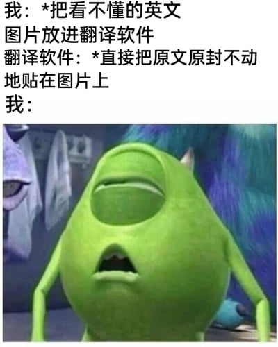 图片上方是三段文字，描述了一个搞笑场景：用户将看不懂的英文图片放入翻译软件，结果翻译软件只是把原文原封不动地贴回图片上，最后以“我：”引出下方的角色反应。下方是《怪兽电力公司》中的绿色独眼角色麦克·华斯基，他双眼紧闭，嘴巴微张，表情看起来震惊又无奈，完美呼应了文字描述的翻译软件失效后的无语心情。