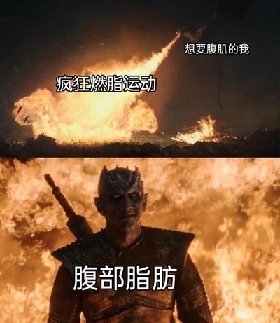 该图为上下拼接的吐槽类梗图，上半部分是战争场景里的火焰画面，右上角标注“想要腹肌的我”，大片火焰标注为“疯狂燃脂运动”；下半部分是美剧《权力的游戏》中的经典角色夜王站在熊熊烈火中毫发无伤的画面，标注为“腹部脂肪”。整体用夸张的比喻调侃健身减脂的人付出大量努力做燃脂运动想要练出腹肌，腹部脂肪却异常顽固丝毫没有减少的无奈现状，很容易引发有减肥经历人群的共鸣。