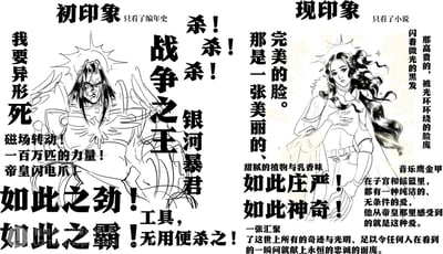 图片分为左右两栏对比，左侧为“初印象（只看了编年史）”，描绘一位狰狞的“战争之王”形象，配文“杀！杀！杀！”“一百万匹的力量”等充满力量感的文字；右侧为“现印象（只看了小说）”，展现一位高贵美丽的女性角色，配文“完美的脸”“甜腻的植物与乳香味”“庄严神奇”等细腻描述。通过夸张的视觉和文字对比，呈现同一角色在不同文本来源下的巨大印象反差。