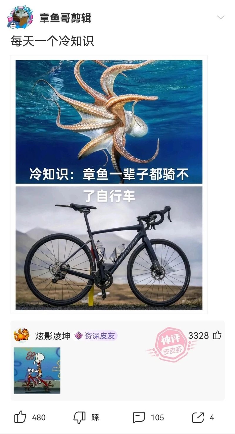 现实海洋生物