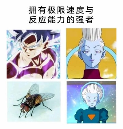 这是一张由四张图片拼接而成的搞笑梗图，顶部配有文字“拥有极限速度与反应能力的强者”。左上是日本动漫《龙珠超》中开启自在极意功的孙悟空，该形态下的他拥有作品中顶尖的速度与反应能力，是能应对极致危机的强者；右上是《龙珠超》里的维斯，作为第7宇宙的天使，他的速度和实力远超众多角色，是作品里的强者之一；左下是现实中的苍蝇，由于复眼的特殊结构，苍蝇拥有极快的视觉反应速度，能迅速察觉并躲避危险；右下是《龙珠超》里的大神官，作为所有天使的首领，他拥有作品中天花板级别的速度与实力。这张图将动漫里的顶级速度强者与现实中反应极快的苍蝇放在一起，用反差感制造笑点，同时也科普了苍蝇的特殊能力。
