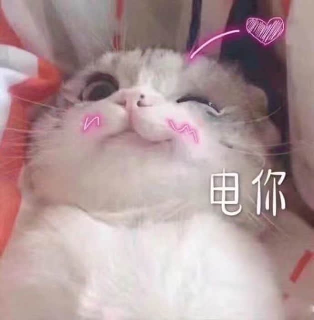 歪头wink小猫咪 脸颊红晕配'电你'文字