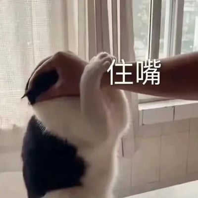 一只黑白相间的猫咪被一只手捏住嘴巴，猫咪抬起前爪似乎想要推开或阻止，画面右侧有白色文字“住嘴”覆盖，背景是有白色窗帘和窗户的室内场景。整体呈现出猫咪抗拒被喂食或被摆弄的有趣瞬间。