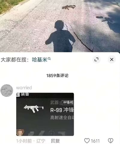 整张图由上下两部分拼接而成，上半部分是实拍的户外水泥路面场景，路面上躺着一只小动物，还有拍摄者投射在地面的人影，界面显示搜索提示“大家都在搜：哈基米”；下半部分是社交媒体评论区，用户worried发布了游戏《Apex英雄》中的R-99冲锋枪装备截图，标注该武器为高射速全自动冲锋枪，该评论获1611赞。结合原标题“r-99对不过car”，是玩游戏相关的谐音梗：《Apex英雄》中CAR冲锋枪的综合性能优于R-99，同时“CAR”的读音谐音对应图中的“哈基米”（指代小动物/猫），形成趣味呼应。