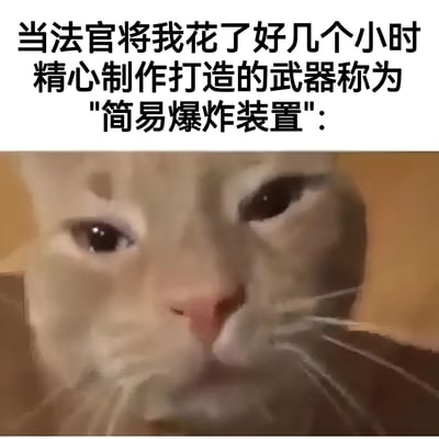 这张梗图由上下两部分组成。上方是黑色粗体文字："当法官将我花了好几个小时精心制作打造的武器称为'简易爆炸装置':"，下方是一张近距离拍摄的猫脸特写。猫咪有着浅色的毛发和深色的眼睛，表情看起来有些困惑和无辜，完美呼应了文字内容中那种付出心血却被简单定义的无奈与不解。