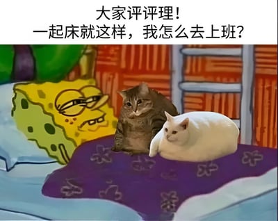 图片上方配有文字“大家评评理！一起床就这样，我怎么去上班？”，下方画面中海绵宝宝挑眉坏笑地倚靠在绿色枕头上，旁边两只猫咪（一只灰色虎斑猫、一只白色胖猫）正慵懒地趴在紫色花纹的床铺上，整体营造出打工人因宠物和卡通角色“霸占”床铺而无法上班的搞笑无奈场景。
