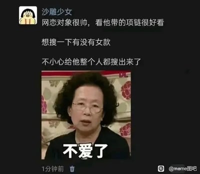 这是一张图文混排的搞笑梗图，上方模拟社交媒体动态，用户“沙雕少女”分享自己的网恋翻车经历：原本觉得网恋对象很帅，看到对方佩戴的项链好看，想要搜索同款女款，结果却意外搜出了网恋对象的真实模样；下方搭配韩剧《无法阻挡的highkick》（《搞笑一家人》）中罗文姬女士的截图，并添加文字“不爱了”，用剧中人物经典的失望神情，夸张地表现出发现网恋对象真实样貌后瞬间幻灭、不想继续这段网恋的情绪，整体内容幽默地调侃了网恋中“照骗”的常见翻车场景，十分贴合当下年轻人的网络社交体验。