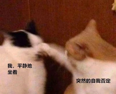 这是一张文字加注类猫咪表情包，画面中有两只猫咪：左侧的黑白花色猫咪姿态安稳，配文“我，平静地坐着”，呈现出一种平和无波的状态；右侧的橘色猫咪身体与脸部部分重叠在另一只猫身上，动作看起来像是在自我拉扯，配文“突然的自我否定”。图片用猫咪的互动画面拟人化地表现出人们原本处于平静状态时，毫无预兆地陷入自我怀疑、自我否定的情绪变化，生动又贴近日常心理，容易引发观者共鸣。