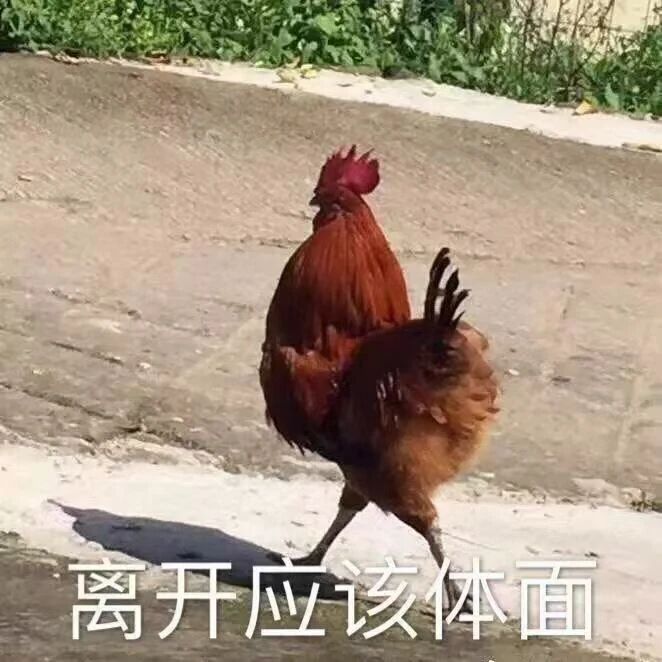 大公鸡