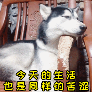 哈士奇躺椅叹气：今天的生活也是同样的苦涩