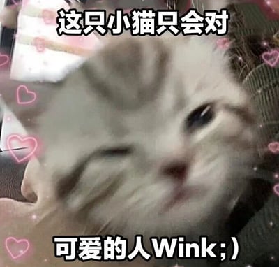 图片展示了一只白色带有浅灰色毛发的小猫特写，它正俏皮地眨着一只眼睛，周围点缀着粉色爱心装饰。图片上方有文字“这只小猫只会对”，下方有文字“可爱的人Wink;)”，整体营造出温馨可爱的氛围，适合表达对可爱事物的喜爱。