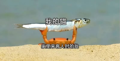图片中一只橙色的螃蟹站在沙地上，用两只大螯高高举起一条银色的小鱼。鱼的上方配有文字“我的猫”，螃蟹的下方配有文字“家里来客人时的我”。通过螃蟹举起鱼的场景，幽默地类比了当家里来客人时，自己像螃蟹一样“展示”宠物猫的有趣状态，展现了一种生活化的调侃和亲切感。