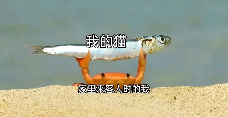 鱼