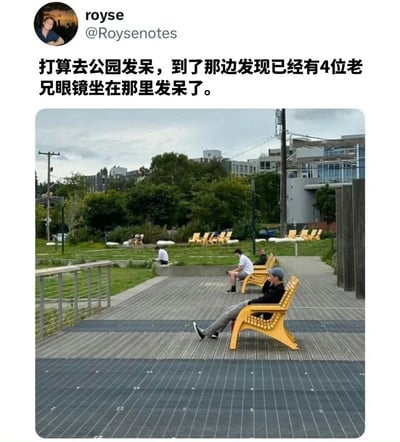 一张社交媒体截图，内容是用户royse分享自己去公园发呆，却发现已经有四位男士先到一步在那里发呆的趣事。图片展示了公园场景，几位男士分散坐在黄色椅子上，神情放松。