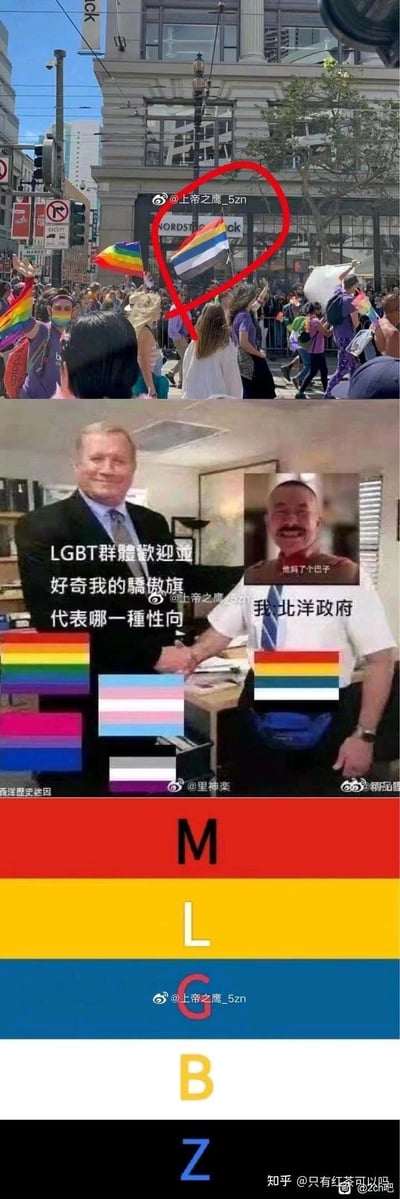 这是一张拼接梗图，包含三个主要部分。顶部是一张骄傲游行的照片，其中一面旗帜被红色圆圈标记；中间部分展示两位男性握手，周围有不同的彩虹旗和文字；底部是彩色条纹，上面有字母M、L、G、B、Z。图片中包含关于LGBTQ+群体的内容和相关旗帜。