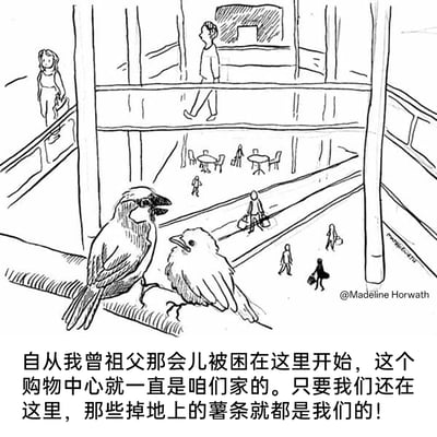 这是一幅由Madeline Horwath创作的黑白线稿幽默漫画，画面采用剧场式构图，前景是两只站在购物中心栏杆上的鸟，其中一只成年鸟正对着幼鸟说话，背景是有着多层通道、行人往来的购物中心，行人们或购物或走动，还原了商场的日常氛围。漫画通过动物拟人的手法，让鸟以“家族领地”的视角看待购物中心，将鸟类捡食人类掉落食物的日常，转化为“占领领地”的有趣叙事，用荒诞又贴合生活的设定制造幽默效果，调侃了都市里人类与动物共享空间的日常。