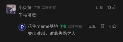 这是一张社交媒体评论区的横屏截图，展示了用户与内容作者的情绪共鸣互动。来自广东的用户“小炎黄”发布评论“牛马可悲”，其中“牛马”是当代网络流行语，指代在工作中被压榨、辛苦奔波的打工人，这条评论直白表达了对这类群体处境的感慨，获得了13个点赞；随后该内容的作者“花生meme基地”引用唐代文学家王勃《滕王阁序》中的名句“关山难越，谁悲失路之人”进行回复，原句本是抒发怀才不遇、前路迷茫的悲叹，在这里被用来呼应网友的感慨，以文雅的方式表达了对失意、迷茫之人的共情，这条回复获得6个点赞。整个互动将接地气的网络热词与典雅的古典文学名句结合，精准传递了当代职场人对自身困境的共鸣情绪。