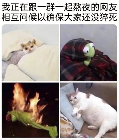 图片上方配有文字“我正在跟一群一起熬夜的网友相互问候以确保大家还没猝死”，下方是2x2网格的四张图片。左上为一只猫从白色毯子下探出头，眼神慵懒；右上是科米蛙被红黑格子毯裹住，只露出两只大眼睛，表情警惕；左下是科米蛙全身着火，表情惊恐；右下为一只胖猫趴在灰色枕头上，四肢舒展，显得十分困倦。整体通过可爱的动物形象和夸张的“着火”场景，幽默展现熬夜网友相互“报平安”的无奈与搞笑日常。