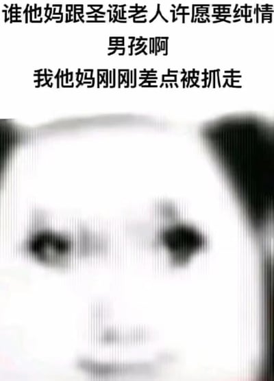 这是一张结合圣诞节场景创作的熊猫头梗图，图中使用了模糊失真的熊猫脸形象，搭配吐槽文字：“谁他妈跟圣诞老人许愿要纯情男孩啊 我他妈刚刚差点被抓走”，以夸张的吐槽方式，把自己代入“纯情男孩”的身份，制造出被圣诞老人误抓的搞笑误会场景，用暴躁又无奈的语气传递出玩梗的趣味，适合在圣诞期间和朋友调侃互动。