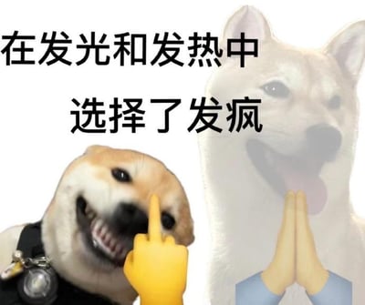 图片左侧是一只咧嘴大笑的柴犬（Doge），旁边有一只黄色手指指向它的头部；右侧是一只颜色较淡的柴犬，双手合十做出祈祷手势。图片上方配有文字‘在发光和发热中选择了发疯’，通过对比两只柴犬的表情和动作，幽默地表达了在努力表现（发光发热）和放飞自我（发疯）之间选择后者的轻松态度。