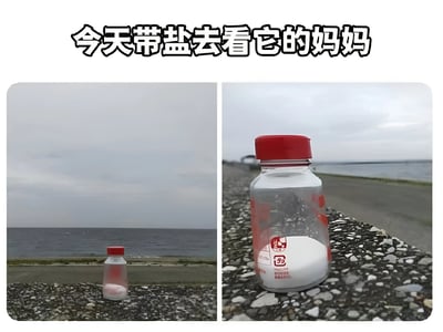 这是一张左右对比的搞笑梗图，左侧是远景拍摄的盐瓶放在海边石子路上，背景是广阔的海洋和天空；右侧是近景拍摄的同一个盐瓶，瓶身上有中文标签。图片上方配有文字“今天带盐去看它的妈妈”，利用“带盐”与“代言”的谐音制造双关笑话，同时将海洋比喻为盐的“妈妈”，形成有趣的联想。