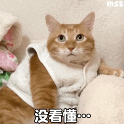 这是一张文字加注的静态宠物表情包，画面主体是一只穿着白色毛绒小背心的橘猫，它睁着圆溜溜的大眼睛，一脸茫然地直视镜头，神态懵懂又困惑。图片下方配有文字“没看懂…”，精准传递出对某件事、某个内容无法理解的情绪，适合在聊天或社交平台中，用来表达自己搞不清状况的心情，图中没有双关、谐音梗等特殊表意。