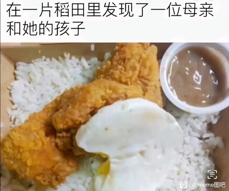 餐食