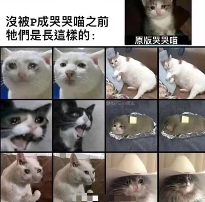 这是一张图文混排的多图拼接对比图，顶部配有文字“没被P成哭哭喵之前它们是长这样的：”，右上角标注了“原版哭哭喵”的示例图。下方共展示了六组左右对比图，每组左侧是被修改成“哭哭喵”风格的表情包图片，右侧是对应的原始猫咪照片：第一组是被P出泛红双眼、委屈神态的白猫，原图是表情平静的正常白猫；第二组是被P出委屈神态的躺卧白猫，原图是放松躺卧的慵懒白猫；第三组是被P成哭脸张嘴的黑白猫，原图是张嘴愤怒的黑白猫；第四组是被P成“猫脸长在锡纸上的食物上”的搞笑图，原图是锡纸上只有类似食物的物体；第五组是被P成双头的怪异白猫，原图是正常单头的白猫；第六组是被P出委屈哭脸的拼合猫脸图，原图是正常表情的猫咪。整组图通过强烈的反差感，展示了热门“哭哭喵”表情包的创作过程，充满搞笑趣味，让用户了解到这些委屈感十足的表情包其实是通过P图修改普通猫咪照片而来。