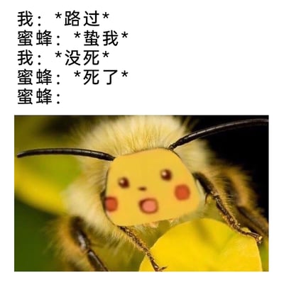这是一张图文混排的搞笑网络梗图，上方是一段充满反差感的趣味对话：“我：*路过* 蜜蜂：*蛰我* 我：*没死* 蜜蜂：*死了* 蜜蜂：”，下方是经过P图修改的蜜蜂照片，蜜蜂的头部被替换成了皮卡丘的脸，皮卡丘脸呈现出惊讶、不可置信的神情。该梗图结合了“蜜蜂蛰人后，毒针会留在被蛰者体内，连带内脏脱出导致自身死亡”的生物常识，通过对话和P图后的表情，放大了蜜蜂“费尽心机蛰人结果自己先去世”的荒诞感，营造出滑稽搞笑的效果，让人忍俊不禁。