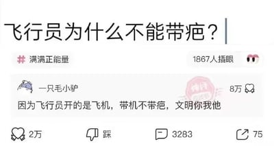 这是一张社交媒体平台的截图，页面顶部提出问题“飞行员为什么不能带疤？”，附带话题“#满满正能量”，并显示有1867人插眼。下方网友“一只毛小驴”给出了一个玩谐音梗的搞笑回答：“因为飞行员开的是飞机，带机不带疤，文明你我他”，该回答改编自文明标语“带鸡不带八，文明你我他”，用“带机（指代开飞机的飞行员）”替换“带鸡”，用“疤”谐音“八”，制造出和飞行员职业相关的趣味效果。这条评论获得了8万点赞、3283条评论以及75次转发，评论右侧还带有“神评”的水印。而飞行员不能带疤的真实原因是：在高空飞行的低压环境中，人体内的压力会相对高于外界，疤痕处的皮肤组织较为薄弱，可能会因此裂开出血，严重影响飞行员的身体健康与飞行安全。