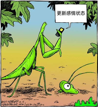 这是一幅荒诞搞笑的卡通漫画，画面背景是带有植被的户外地面，一只失去头部的母螳螂用前肢举着手机，对话框中写着“更新感情状态”，它的头部掉在身旁的地面上。结合螳螂的生物习性——母螳螂在交配后会吃掉公螳螂的头部，这幅漫画将动物的本能行为与人类在社交网络上更新感情状态的行为结合，制造出荒诞的反差感，讽刺了现代人过度依赖社交网络分享生活状态的行为，用黑色幽默的方式呈现了这个场景。